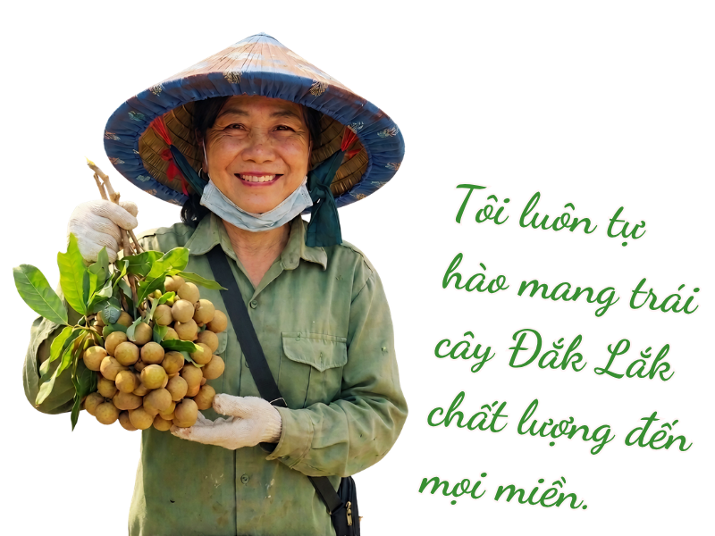 co-loan-trai-cay-dak-lak-moi-nhat